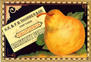 Bartlett: Pear Advertisement