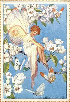 Pear Blossom Fairy