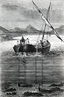 Ceylon: Pearl fishers, Ceylon
