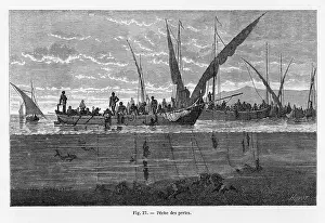 Peche: Pearl Fishing - 1870