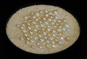 Pearling: Pearls, Bahrain