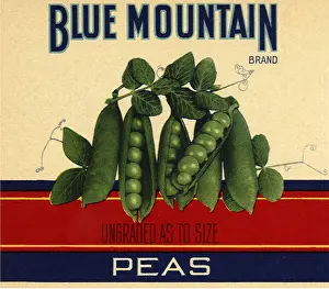 Peas: Peas