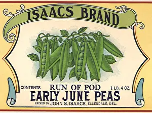 Peas: Peas in a Pod