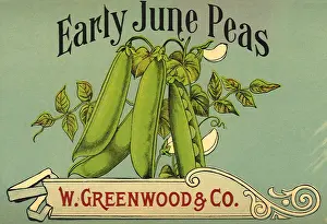 Peas: Peas in Pods Label