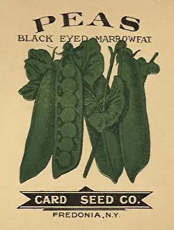 Packets: Peas Seed Packet