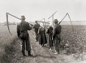 Baggy: Five peasant farmers on their way to the fields