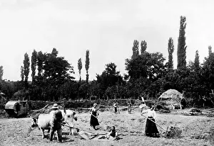 Plough: A peasant while flailing, 1932
