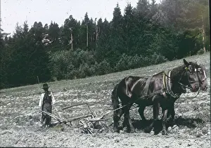Plows: Peasant is ploughing