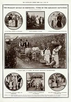Agrarian: Peasant revolt in Romania: types of the agrarian agitators