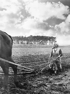 Plow: Peasant woman plowing