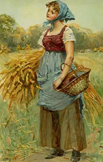 Wheatsheaf: Peasant worker gathering corn