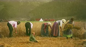 Sheaves: Peasants are binding sheaves
