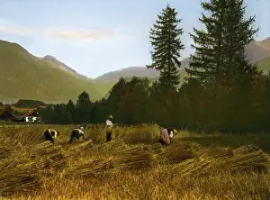 Overlooks: Peasants are cutting grain