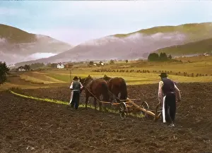 Overlooks: Peasants are ploughing
