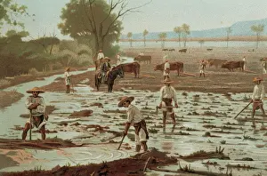 Foreman: Peasants working agricultural land supervised by the foreman