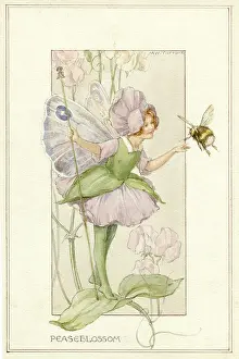 Peaseblossom Fairy