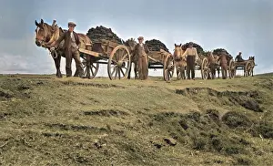Benbecula: Peat carts, Benbecula, Outer Hebrides, Scotland