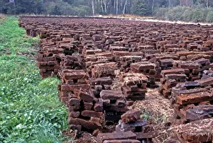 Moos: Peat cutting in Ibmer bog