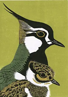 Linocut: Peewit and Son
