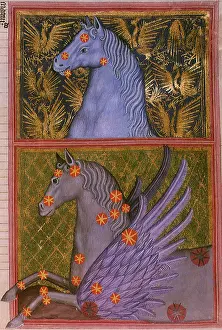 Conventional: Pegasus and Equuleus