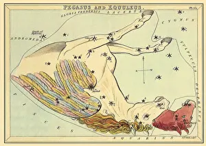 Pegasus: Pegasus and Horse