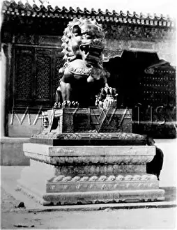 Magnificently: PEKING PALACE STATUE