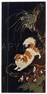 Shen: PEKINGESE (COLLIER)