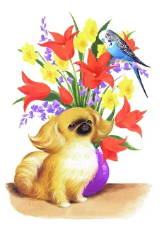 Rawlings: Pekingese dog and budgerigar with flowers