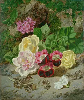 Mossy: Pelargonium and Roses on Mossy Bank