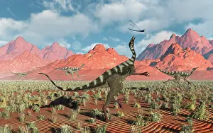 Ornithomimosaur: A Pelecanimimus dinosaur chasing a dragonfly