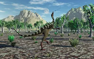 Agility: A Pelecanimimus dinosaur chasing a dragonfly