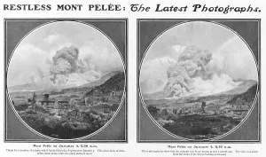 Pelee: PELEE 1903 - 2