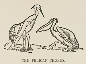Pelicans: The Pelican Chorus, Edward Lear