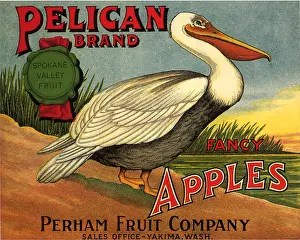 Descends: Pelican Fruit Label