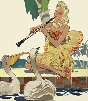 Serenade: Pelican and Swan Serenade