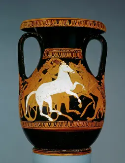 Charioteer: Pelike