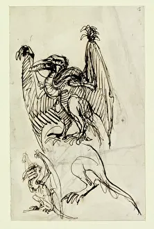 Archosauria: Pen & ink sketch of pterodactyl