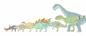 Styracosaurus: Pencil drawing illustrating various dinosaurs and their ?