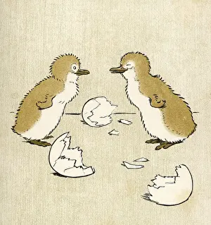 Hatched: PENGUIN CHICKS ALDIN