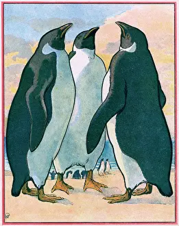 Chums: PENGUINS / NEZIERE