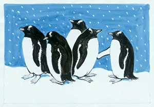 Margery: Penguins in the Snow