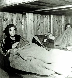 Typhus: Penig Concentration Camp