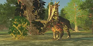 Pentaceratops: A Pentaceratops dinosaur ambles among forest trees in the ?