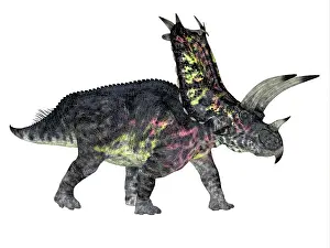 Cerapoda: Pentaceratops dinosaur, side profile