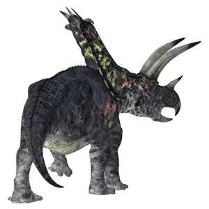 Cerapoda: Pentaceratops dinosaur, rear view