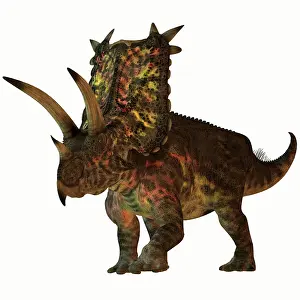 Pentaceratops: Pentaceratops, a herbivorous dinosaur from the Cretaceous ?