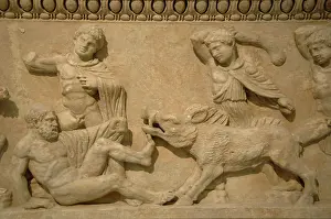 Boar: Pentelic Attic marble sarcophagus. Meleager with the Calydon