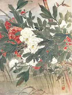 Nestled: Peonies