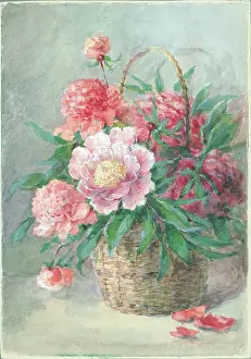 Peonies: Peonies'. Flowers in basket