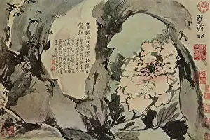 Amidst: Peonies and Rocks